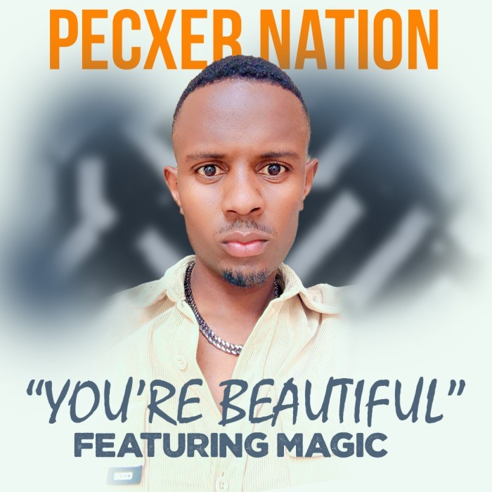 Song Cover